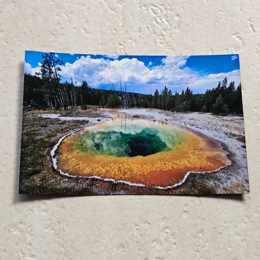 Beautiful Hot Spring Yellowstone National Park Magnet 4"x6"